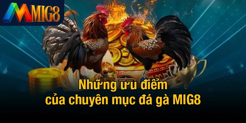 Những ưu điểm của chuyên mục đá gà MIG8