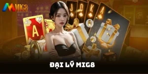 Đại lý MIG8