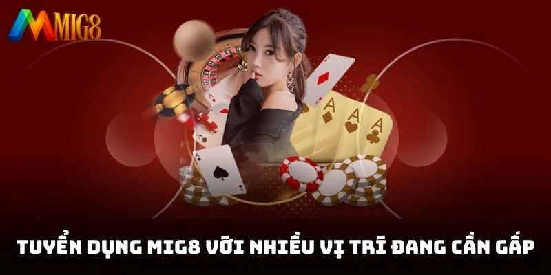 Tuyển dụng MIG8  với nhiều vị trí đang cần gấp