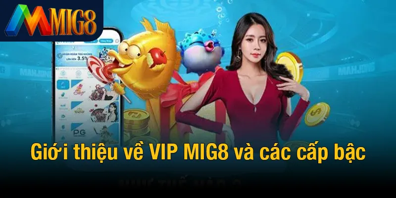 Giới thiệu về VIP MIG8 và các cấp bậc